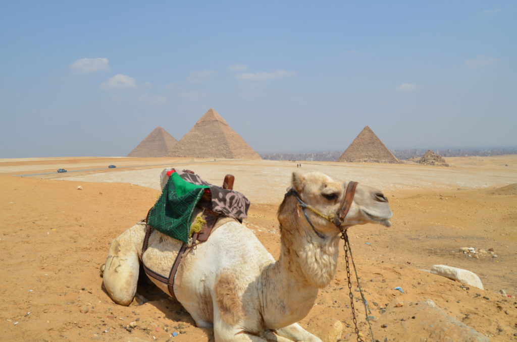Egypt Express Topdeck Travel