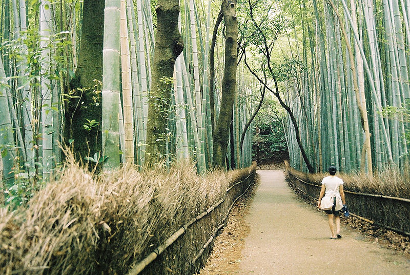 things to do in kyoto japan bamboo forest