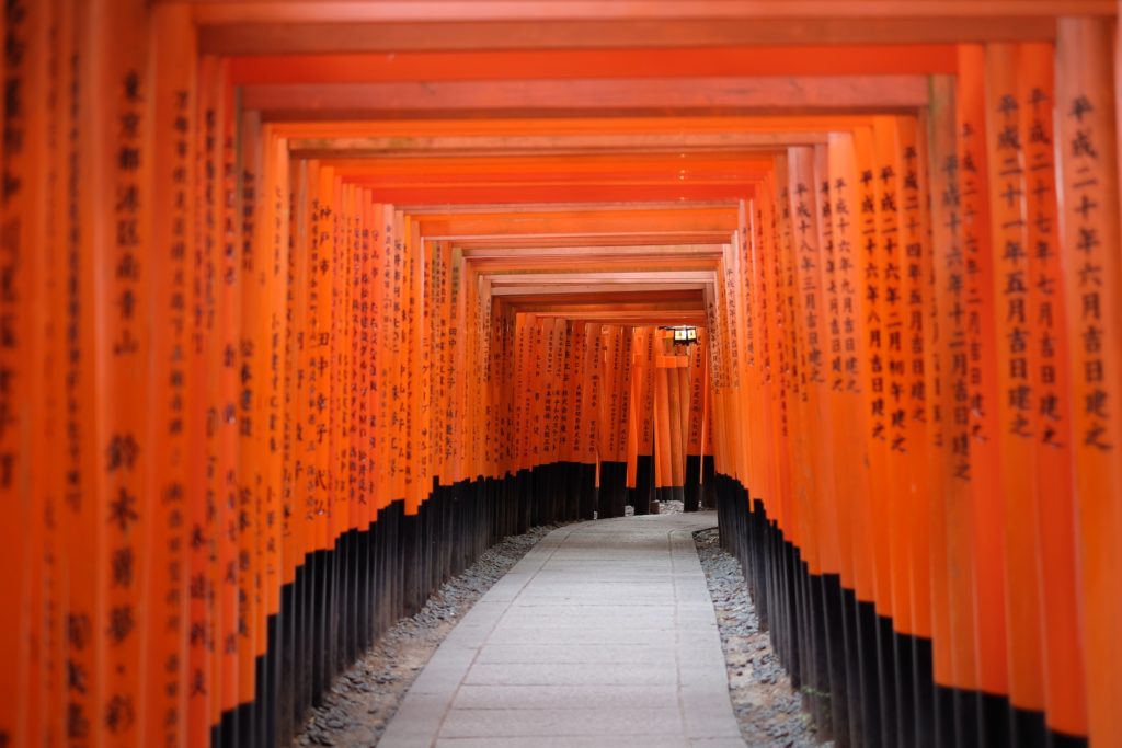 photos of japan torrii gates kyoto