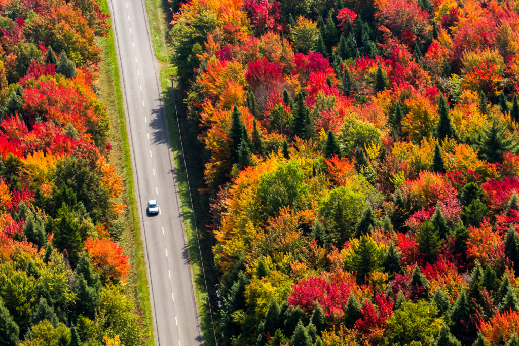 photos of Canada autumn fall Topdeck