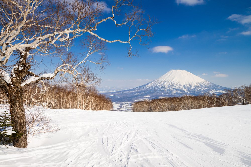 photos of japan Niseko ski