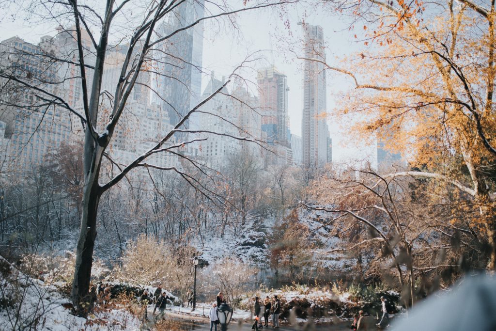 Central Park in winter snow New Year's Eve New York 2019