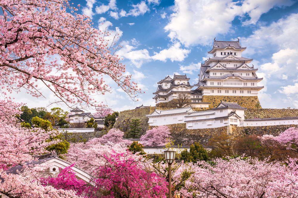 himeji castle cherry blossom japan day trips from osaka