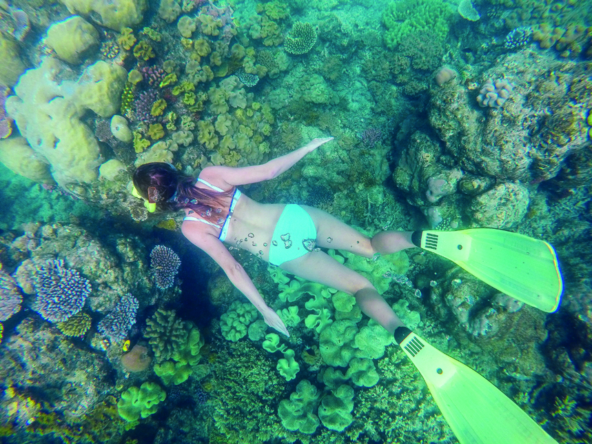 great barrier reef snorkelling coral things to do in australia and new zealand