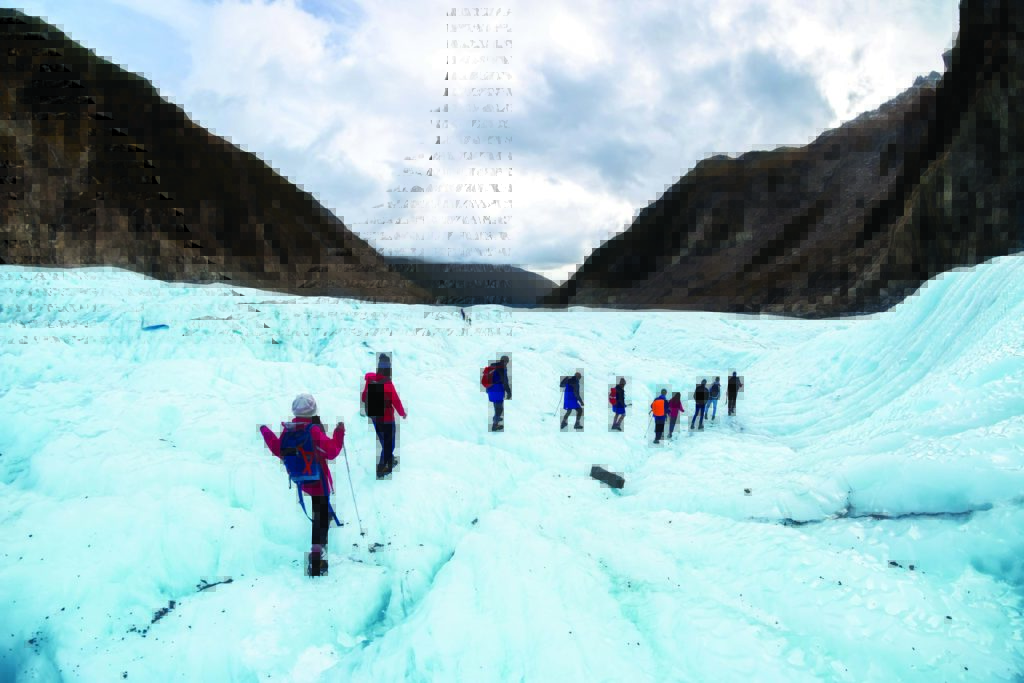 hike fox glacier things to do in australia and new zealand