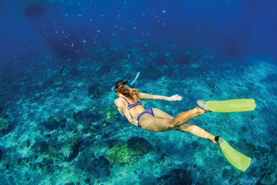 snorkel bali summer holiday destinations